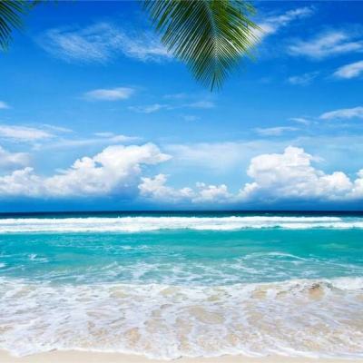 江南体育官方网址