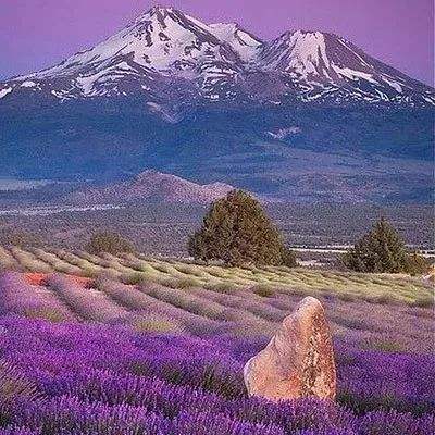 江南体育官方网址截图